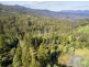 354 Braslins Road, Black Hills TAS 7140
