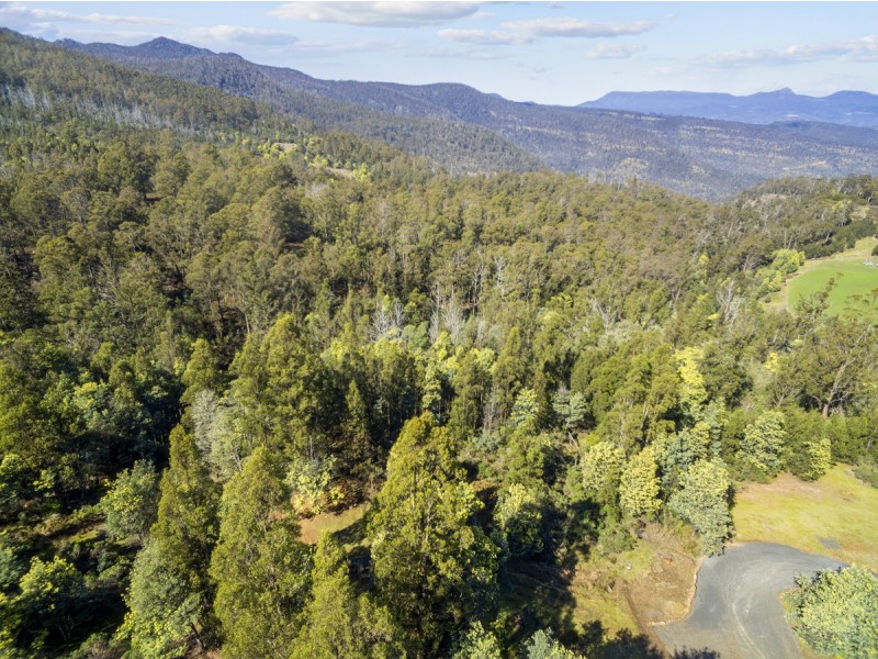 354 Braslins Road, Black Hills TAS 7140