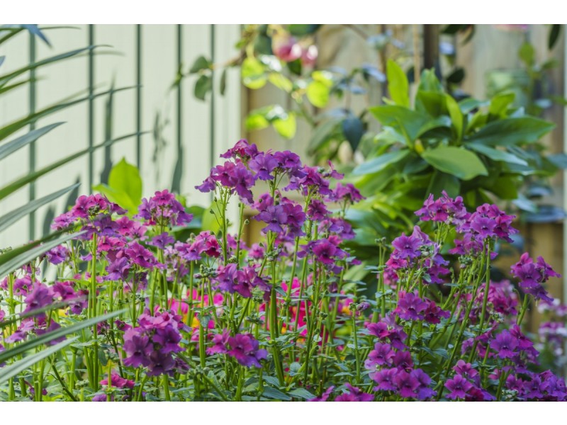 1/526 Main Road, Montrose TAS 7010