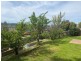 11 McClements Street, Howrah TAS 7018