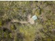 Lot 2, 758 Roaring Beach Road, Nubeena TAS 7184