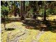 Lot 1/ Elderslie Road, Broadmarsh TAS 7030