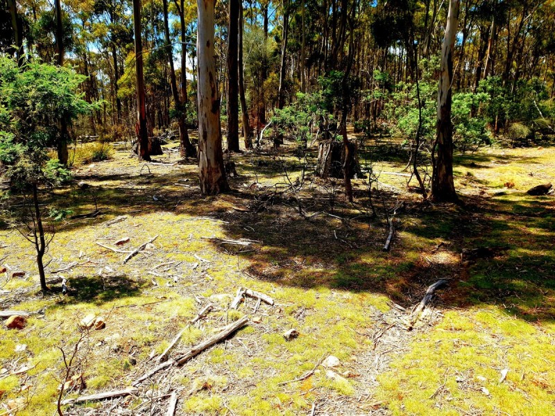 Lot 1/ Elderslie Road, Broadmarsh TAS 7030