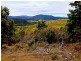 Lot 1/ Elderslie Road, Broadmarsh TAS 7030