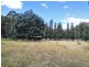 Lot 2/484 Molesworth Road, Molesworth TAS 7140