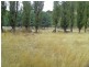 Lot 2/484 Molesworth Road, Molesworth TAS 7140