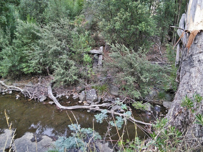 Lot 2/484 Molesworth Road, Molesworth TAS 7140