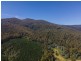 3379 Gordon River Road, Fitzgerald TAS 7140