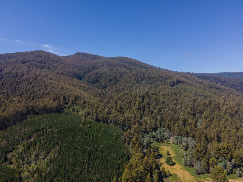 3379 Gordon River Road, Fitzgerald TAS 7140