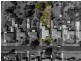 11 Seventh Avenue, New Norfolk TAS 7140
