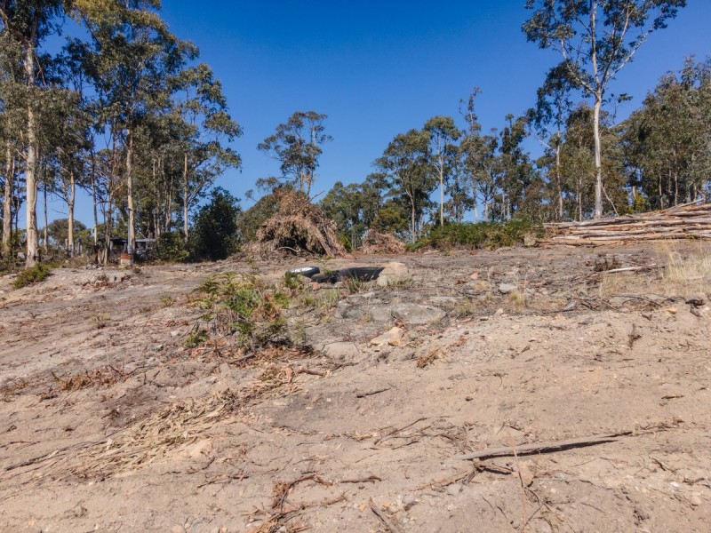 288 Huntingdon Tier Road, Dysart TAS 7030