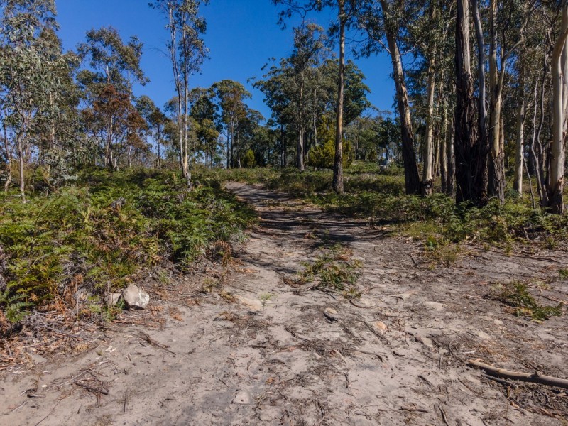 288 Huntingdon Tier Road, Dysart TAS 7030