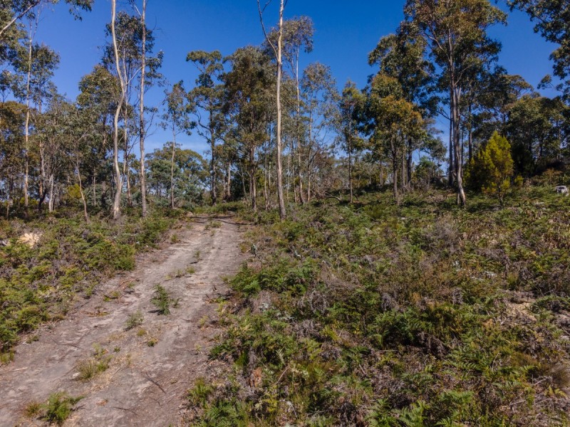 288 Huntingdon Tier Road, Dysart TAS 7030