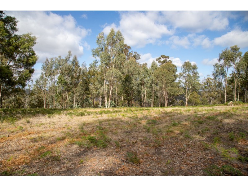 397 Huntingdon Tier Road, Bagdad TAS 7030