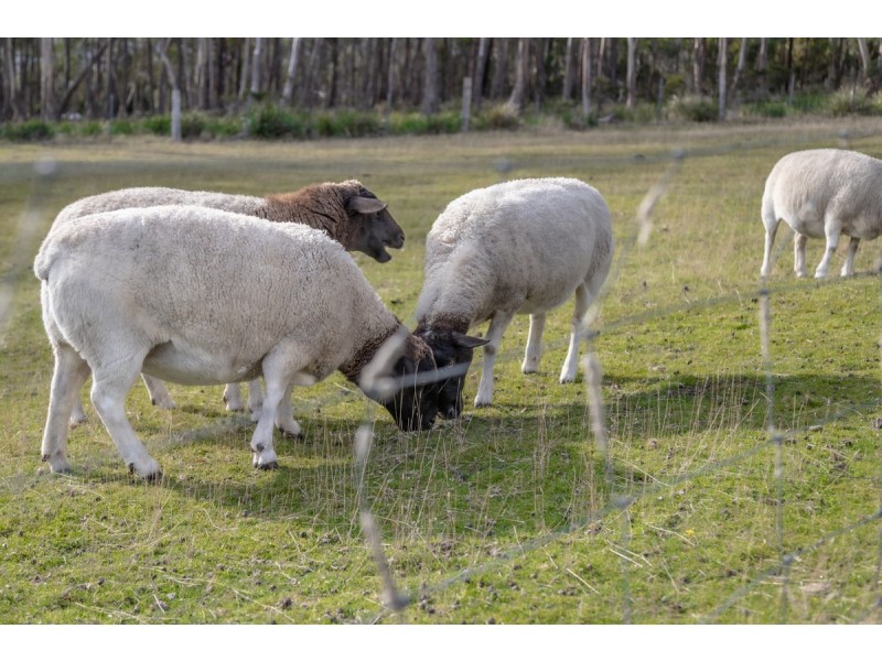 410 Allens Rivulet Road, Allens Rivulet TAS 7150