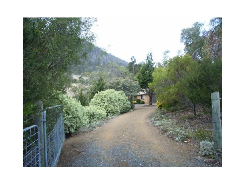 Otago TAS 7017