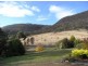 Otago TAS 7017