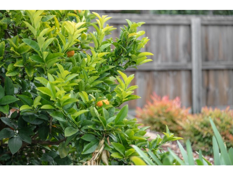 134 Main Road, Claremont TAS 7011