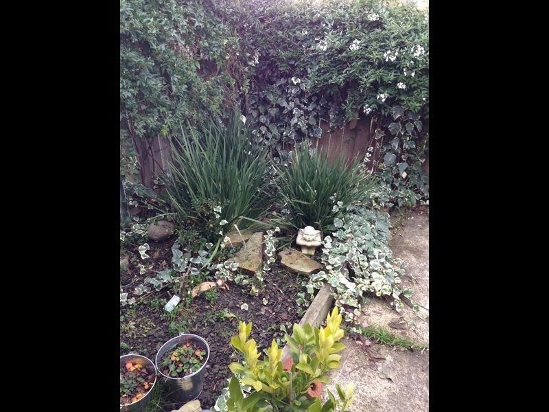 6/6 Katoomba Crescent, Rosetta TAS 7010