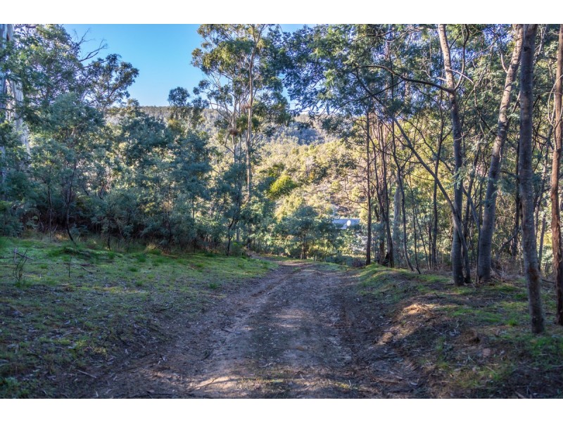 677 Cockatoo Gully Road, Dysart TAS 7030