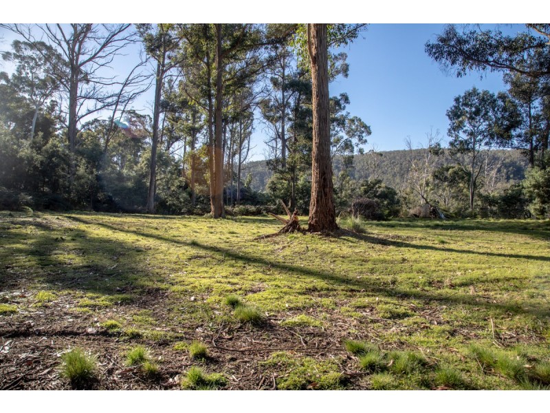 677 Cockatoo Gully Road, Dysart TAS 7030
