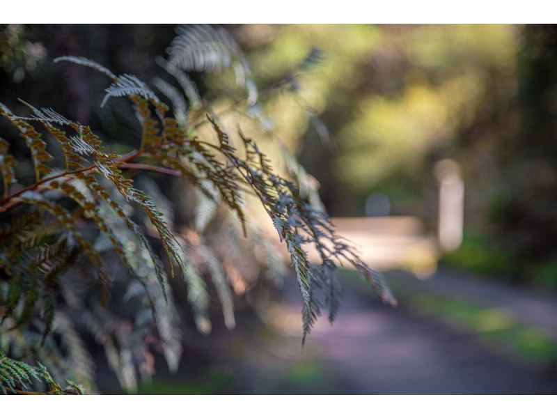 300 Browns Road, Ranelagh TAS 7109