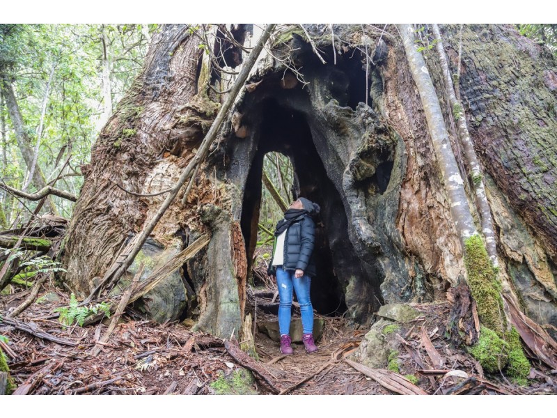 300 Browns Road, Ranelagh TAS 7109