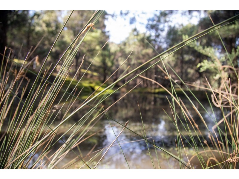 300 Browns Road, Ranelagh TAS 7109