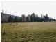 Lot 2 Junee Road, Maydena TAS 7140