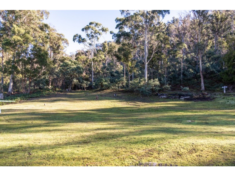 677 Cockatoo Gully Road, Dysart TAS 7030