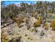 Lot 2/ Kings Road, Bagdad TAS 7030
