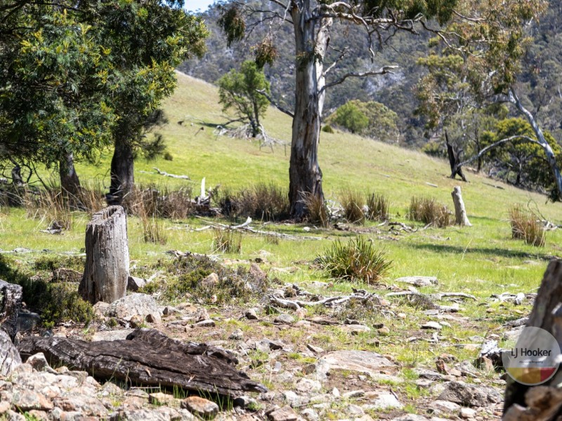 297 Back Tea Tree Road, Richmond TAS 7025