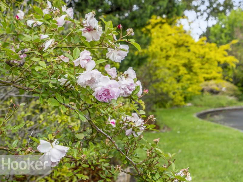 1439 Channel Highway, Margate TAS 7054