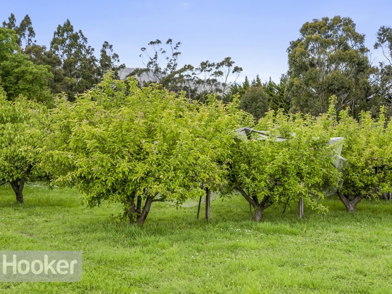 1439 Channel Highway, Margate TAS 7054