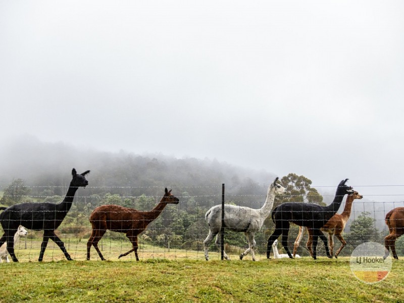 384 Saddle Road, Kettering TAS 7155