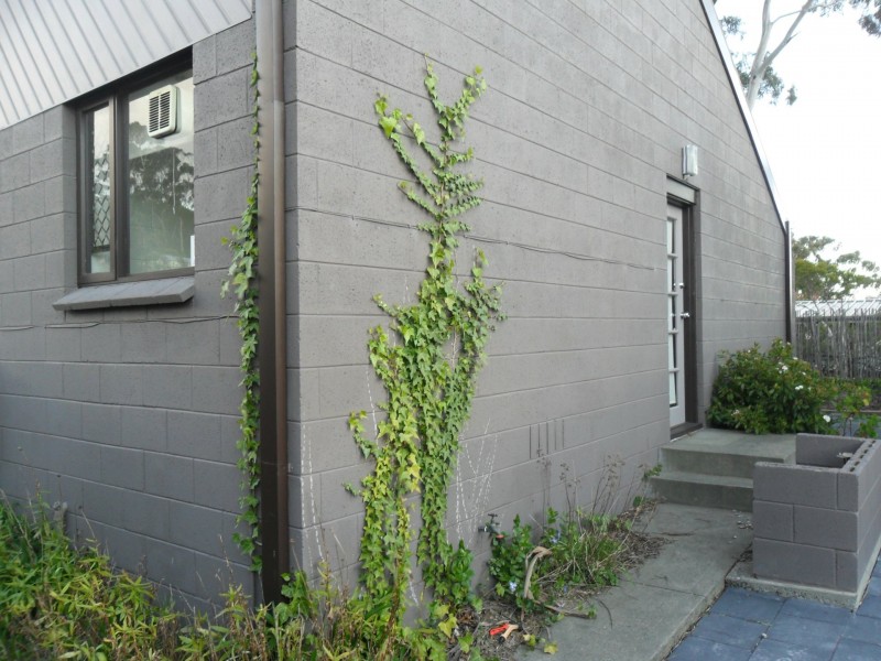 4/16 Weemala Court, Mount Nelson TAS 7007