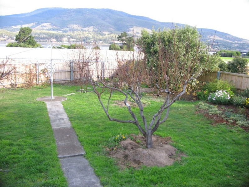 40 Gunn Street, Bridgewater TAS 7030