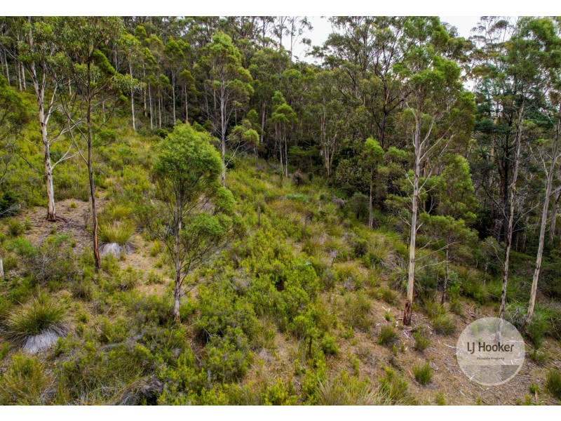 1164 Honeys Road, Flowerpot TAS 7163