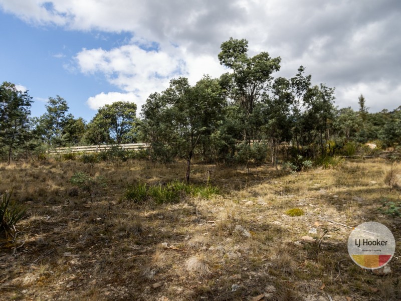 410 Springhill Bottom Road, Colebrook TAS 7027