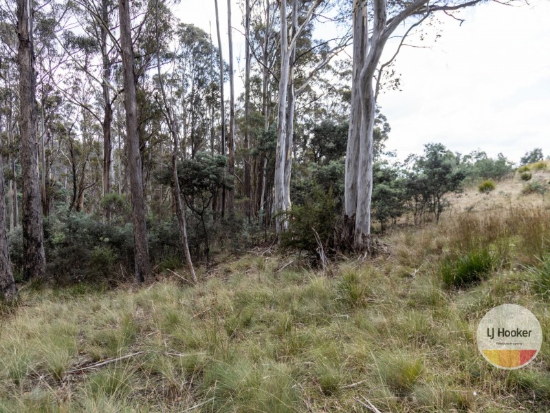 410 Springhill Bottom Road, Colebrook TAS 7027
