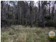 410 Springhill Bottom Road, Colebrook TAS 7027