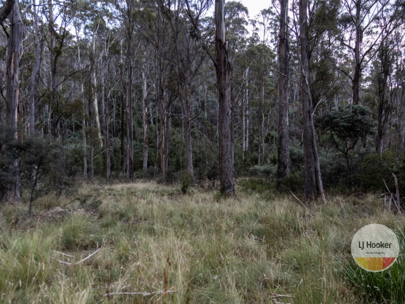 410 Springhill Bottom Road, Colebrook TAS 7027