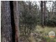 410 Springhill Bottom Road, Colebrook TAS 7027