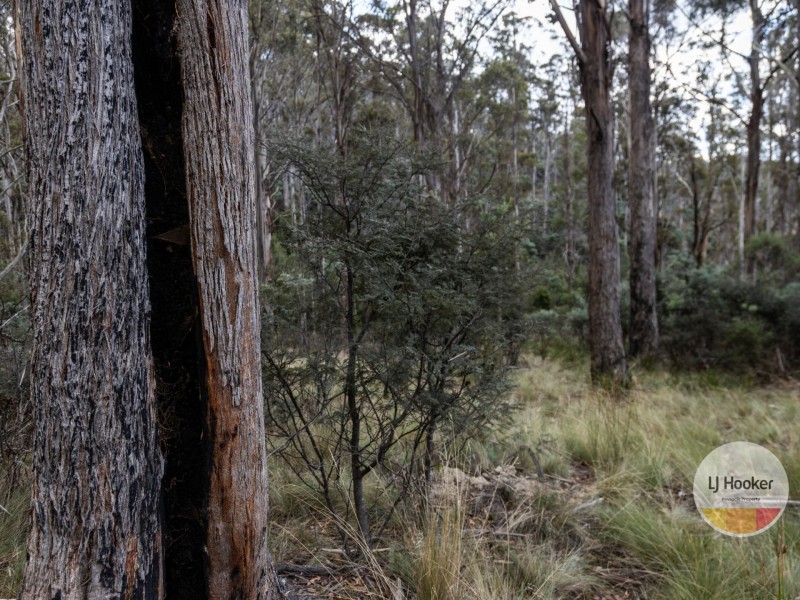 410 Springhill Bottom Road, Colebrook TAS 7027