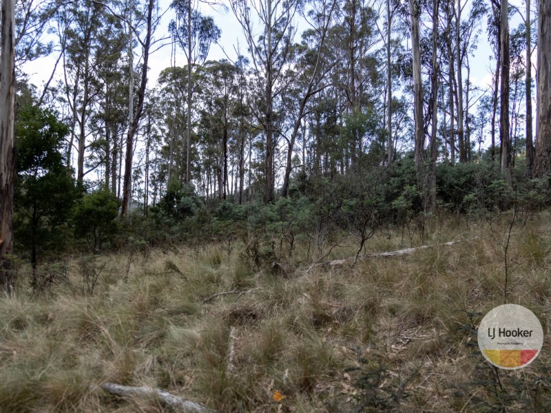 410 Springhill Bottom Road, Colebrook TAS 7027