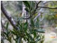 410 Springhill Bottom Road, Colebrook TAS 7027