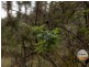 410 Springhill Bottom Road, Colebrook TAS 7027