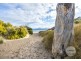 8 Punna Street, Dodges Ferry TAS 7173