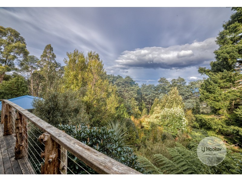31 Grays Road, Fern Tree TAS 7054