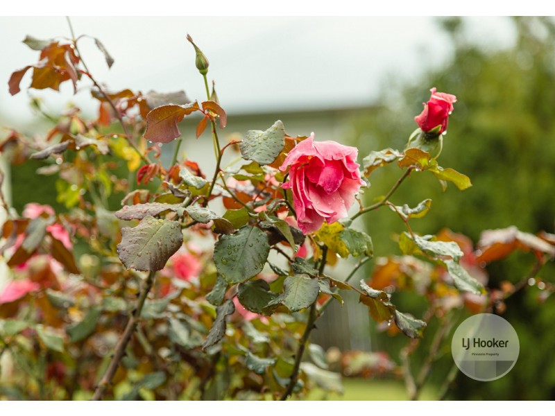 63 Cleburne Street, Kingston TAS 7050